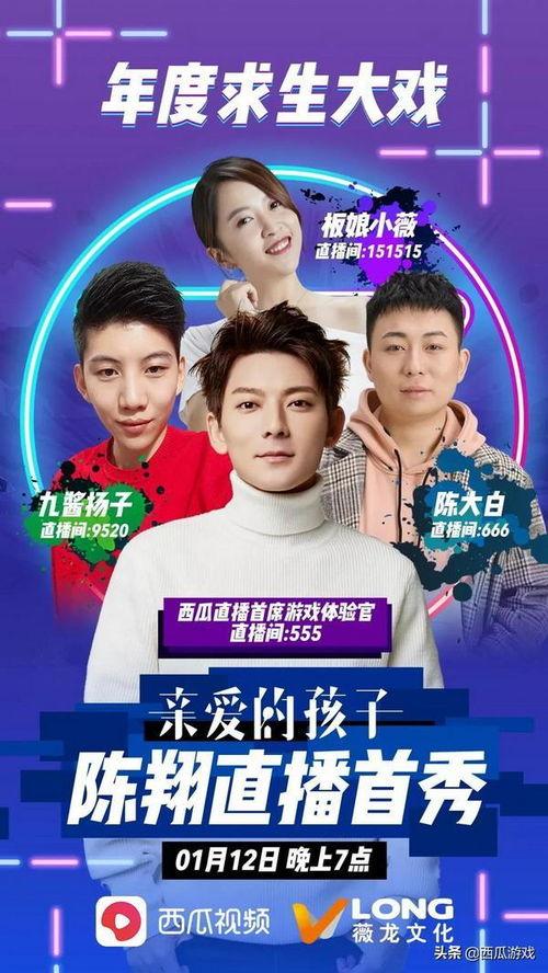 明星志愿西瓜在线观看,揭开明星成长之路的神秘面纱