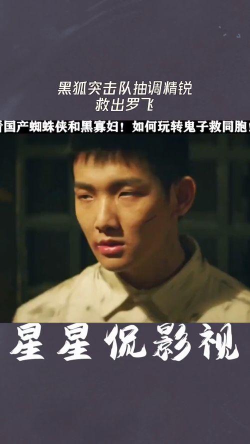 黑狐突击全集在线观看,全境揭秘，热血激战，在线观看巅峰对决