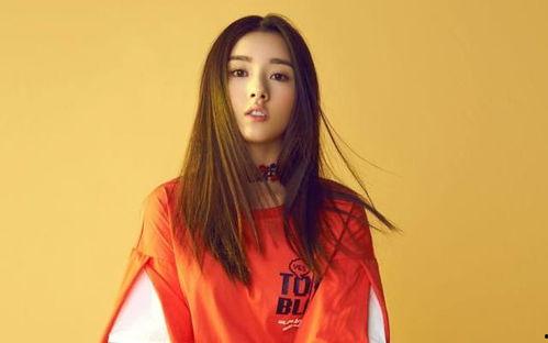 95位明星的地址,繁华都市中的明星家园全景图”