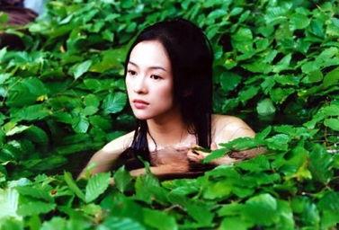 清纯明星裸戏,裸戏背后故事揭秘