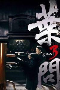 咏春3免费观看,免费观影，传承武魂巅峰对决