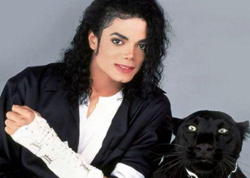 突然逝世的明星 美国,巨星陨落，哀悼时刻