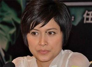 明星转起来邵美琪,明星转动的魅力人生