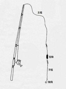 弹簧钓视频,视频教学带你轻松掌握钓鱼新技能