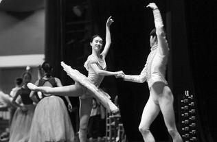 芭蕾电影日本,日本芭蕾电影的璀璨篇章