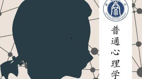 心理学讲座视频,揭秘心理奥秘与行为规律