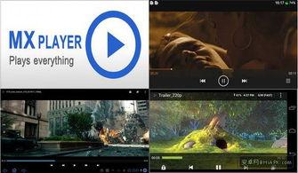 在线avi在线视频观看,在线AVI视频观看指南